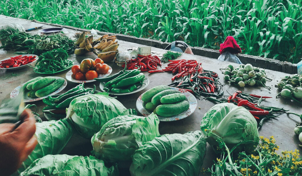 Fresh vegetables